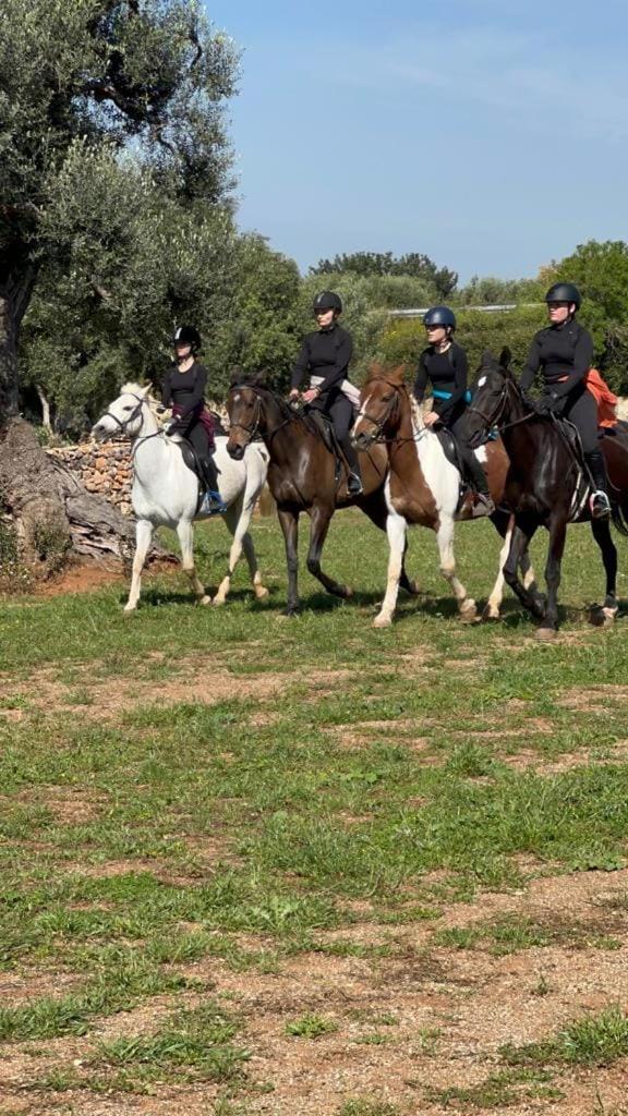 Dimora Nel Benessere Monopoli Εξωτερικό φωτογραφία